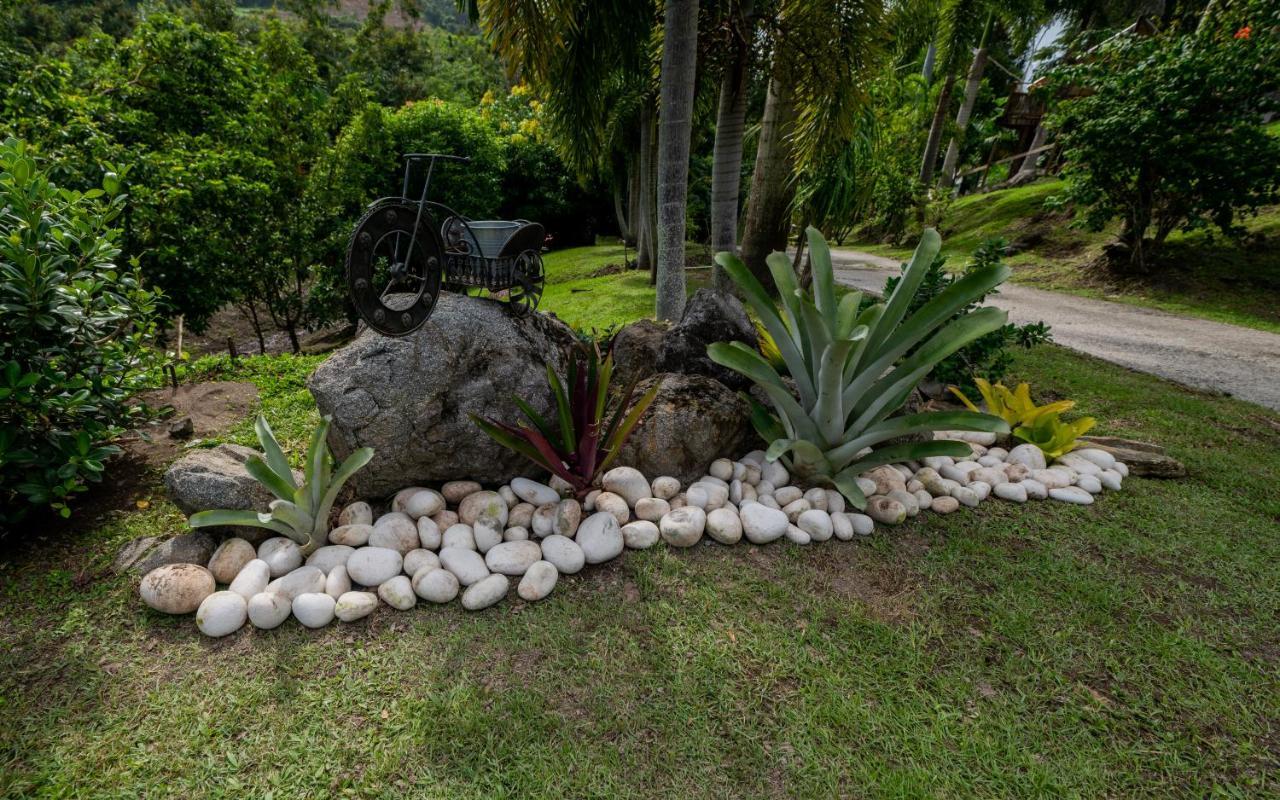 카보조로 Hacienda Tres Casitas 게스트하우스 외부 사진