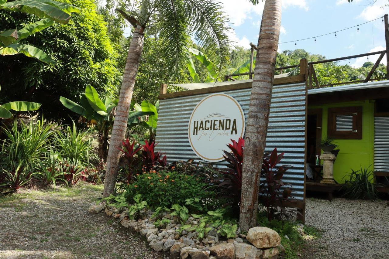 카보조로 Hacienda Tres Casitas 게스트하우스 외부 사진