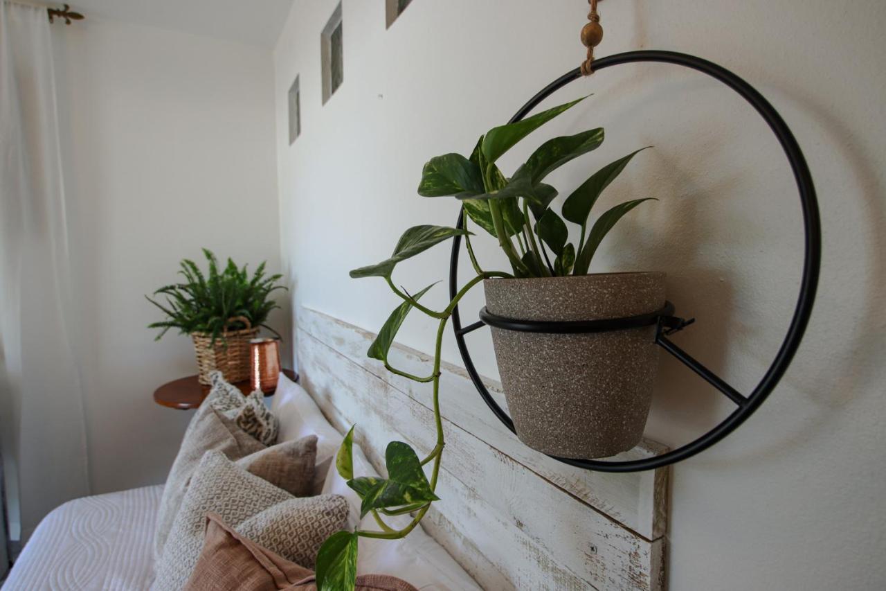 카보조로 Hacienda Tres Casitas 게스트하우스 외부 사진