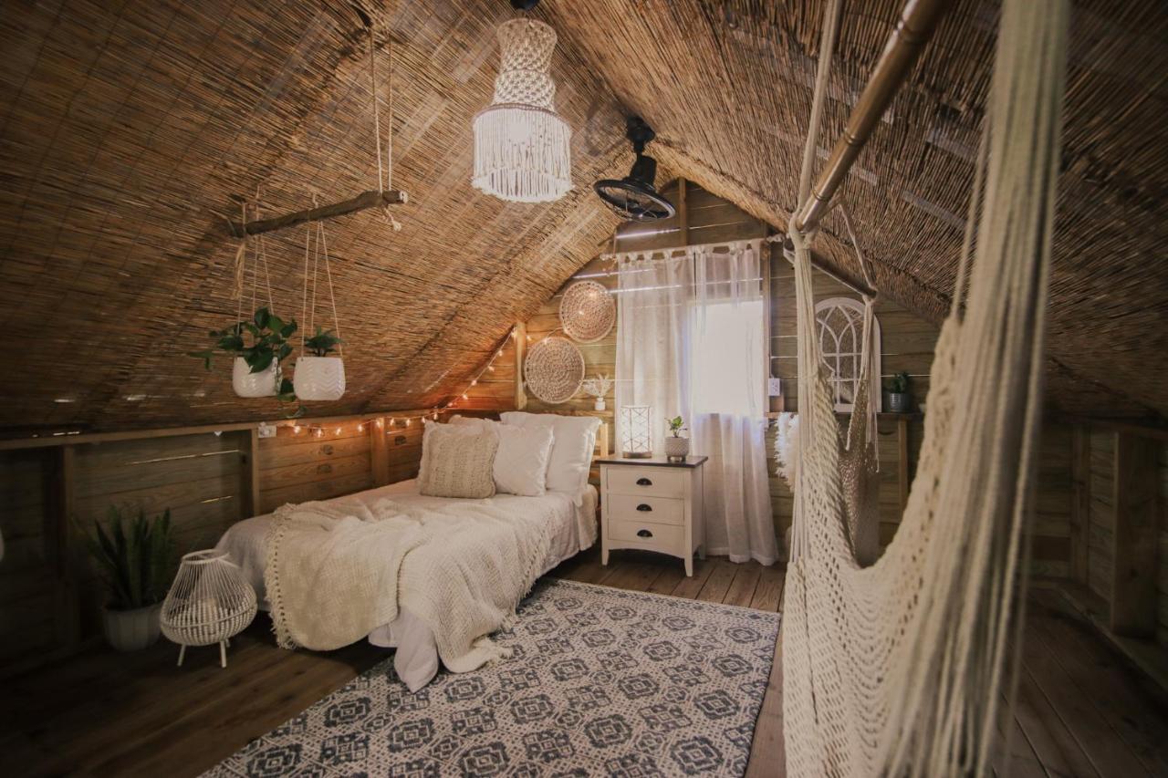카보조로 Hacienda Tres Casitas 게스트하우스 외부 사진