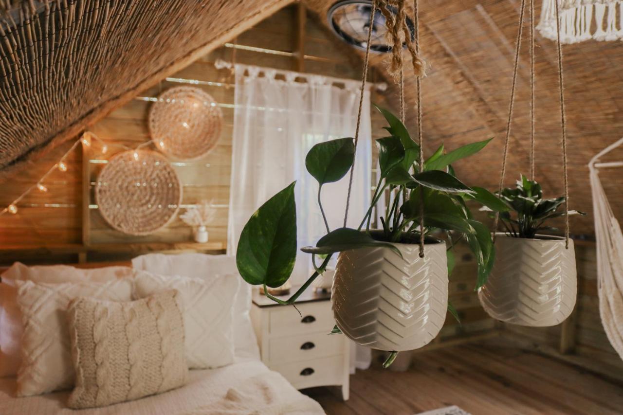 카보조로 Hacienda Tres Casitas 게스트하우스 외부 사진