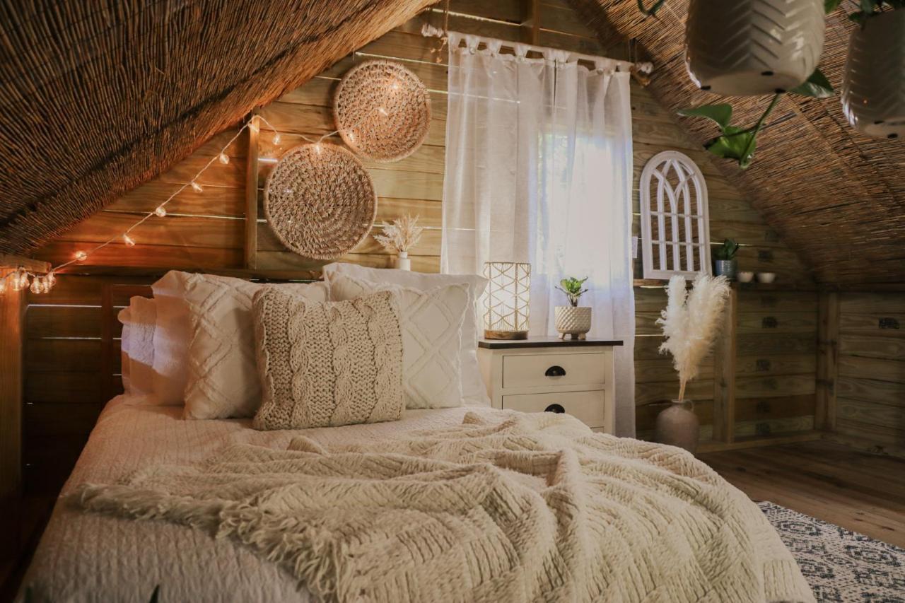카보조로 Hacienda Tres Casitas 게스트하우스 외부 사진