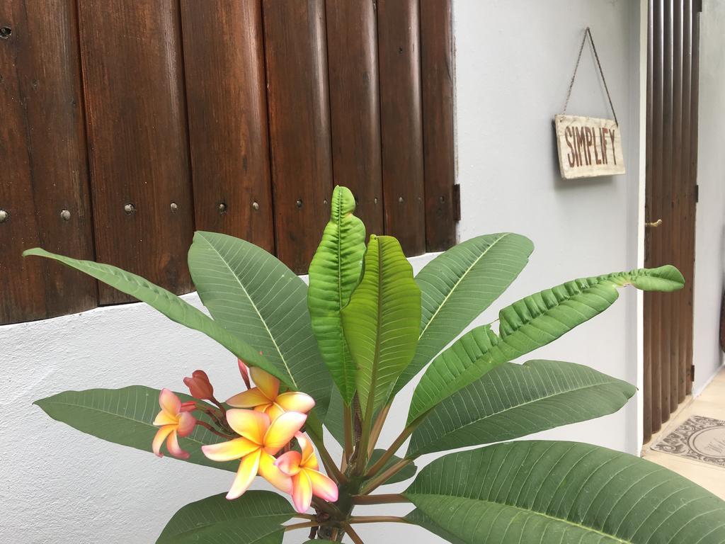 카보조로 Hacienda Tres Casitas 게스트하우스 외부 사진